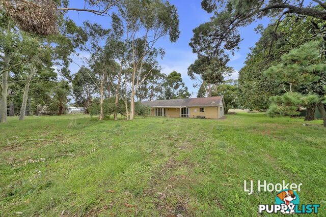 14 Mayfield Road CRANBOURNE EAST VIC 3977