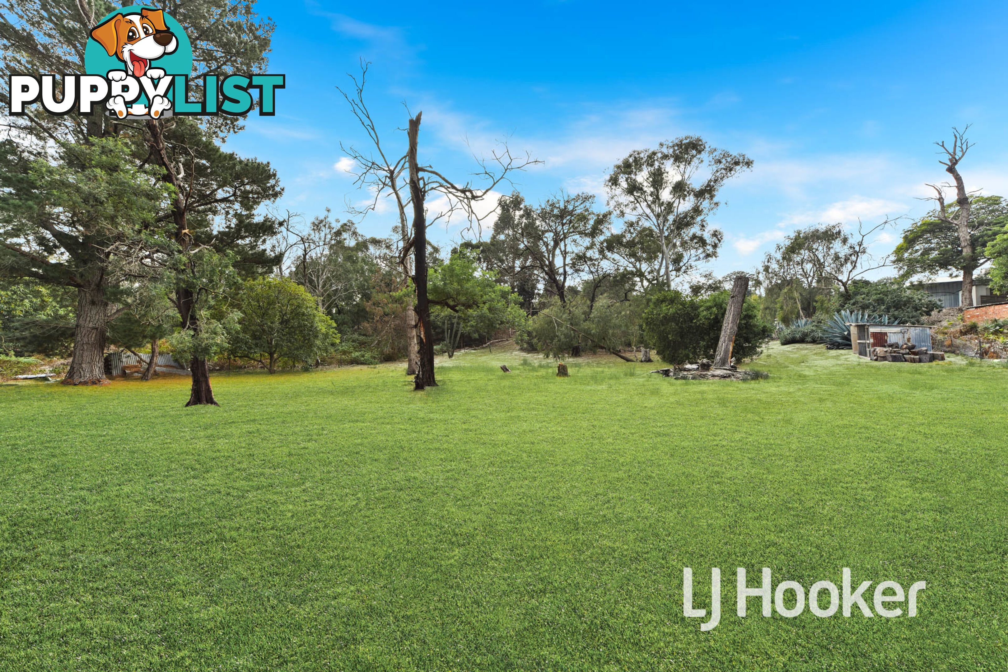 6 Stanhill Drive CRANBOURNE SOUTH VIC 3977