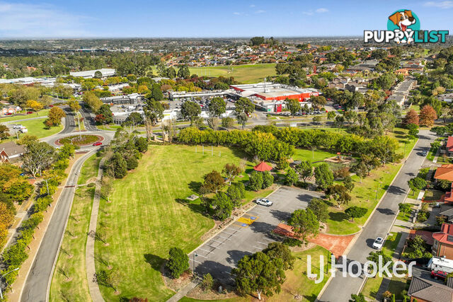 6 Tambo Way BERWICK VIC 3806