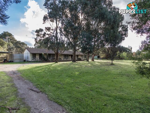 13 Collison Road CRANBOURNE VIC 3977