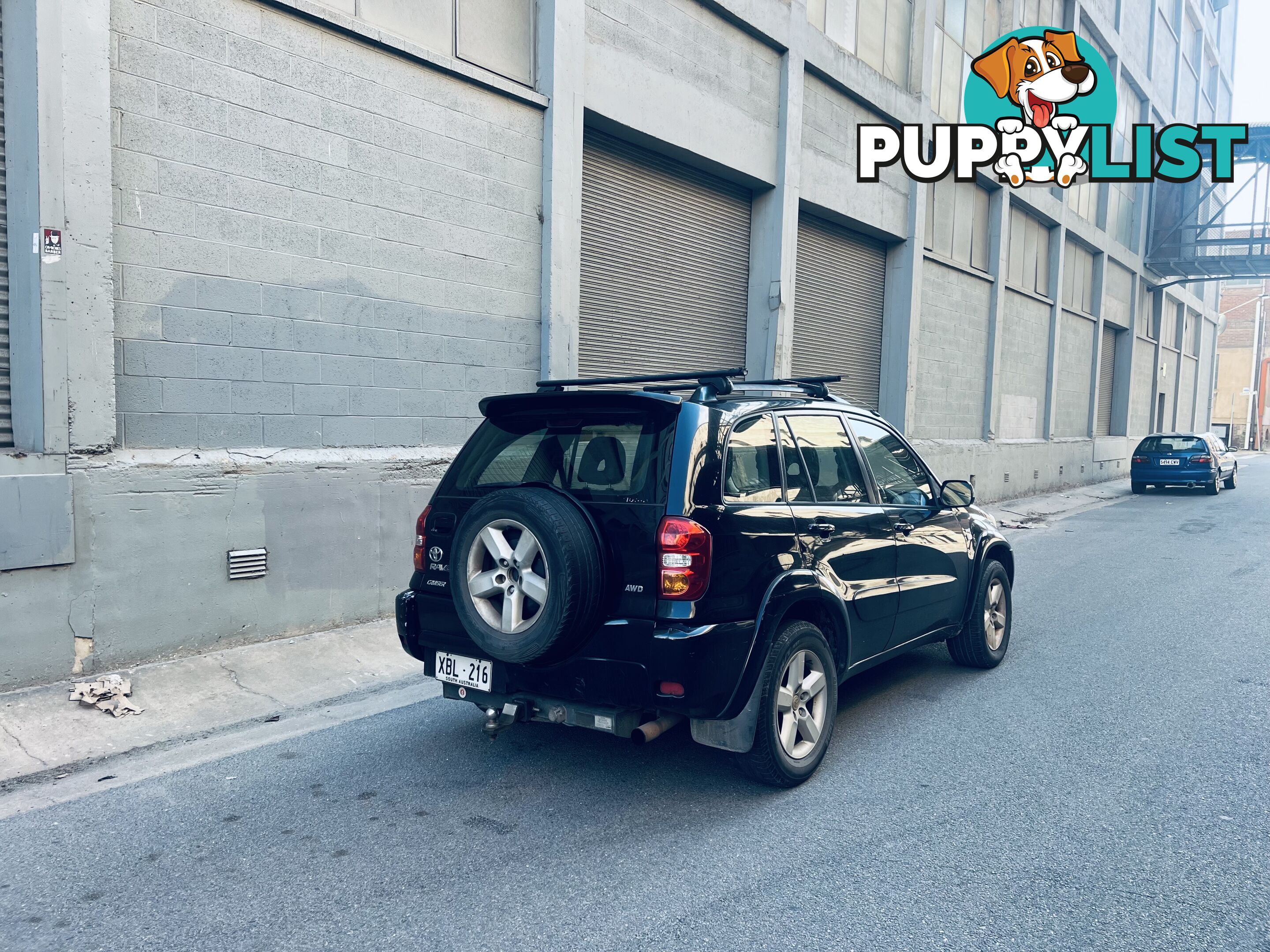 2004 TOYOTA RAV4 CRUISER (4x4) 5 SPEED MANUAL 4D WAGON