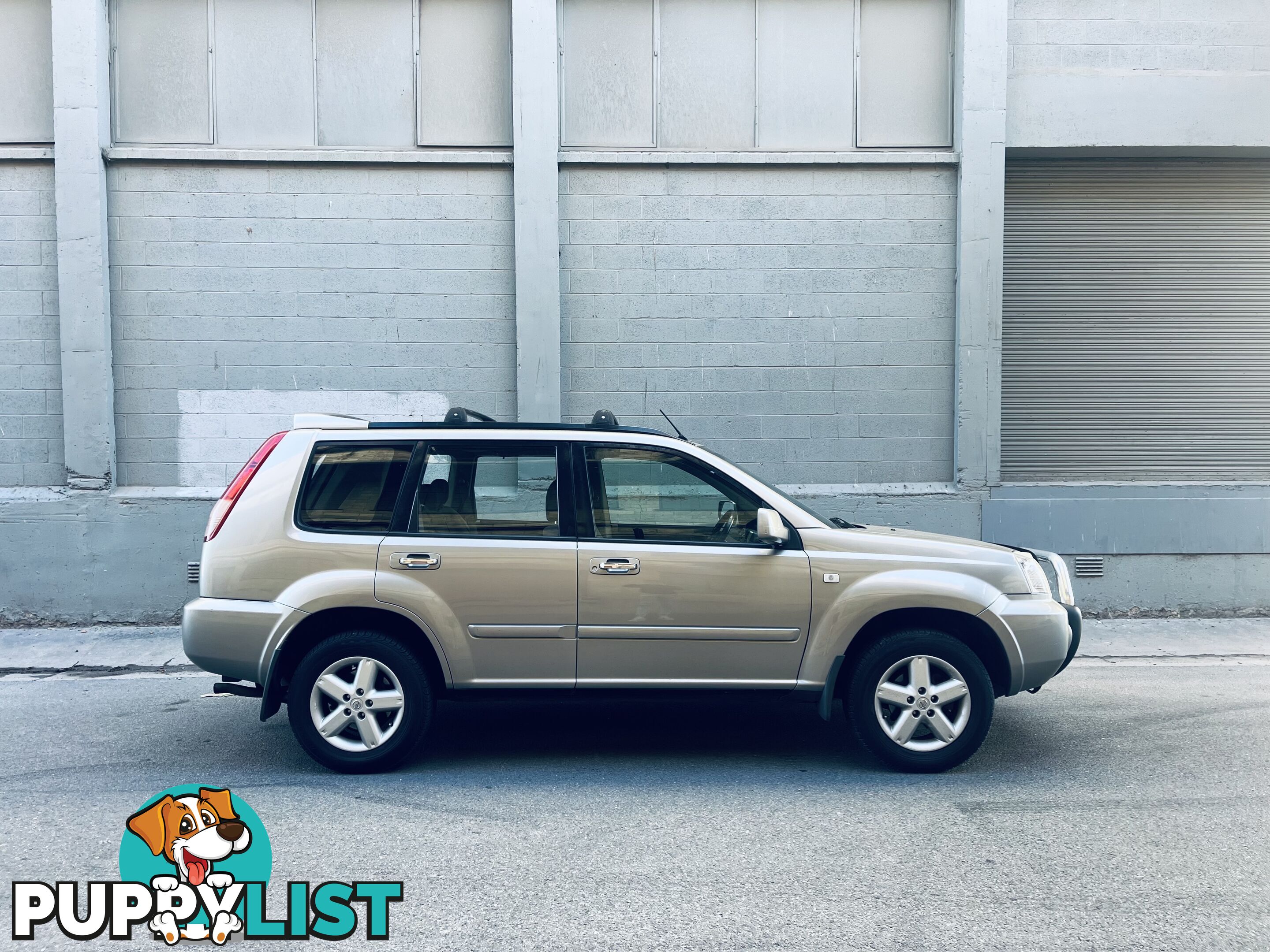 2004 Nissan X-Trail Wagon Manual