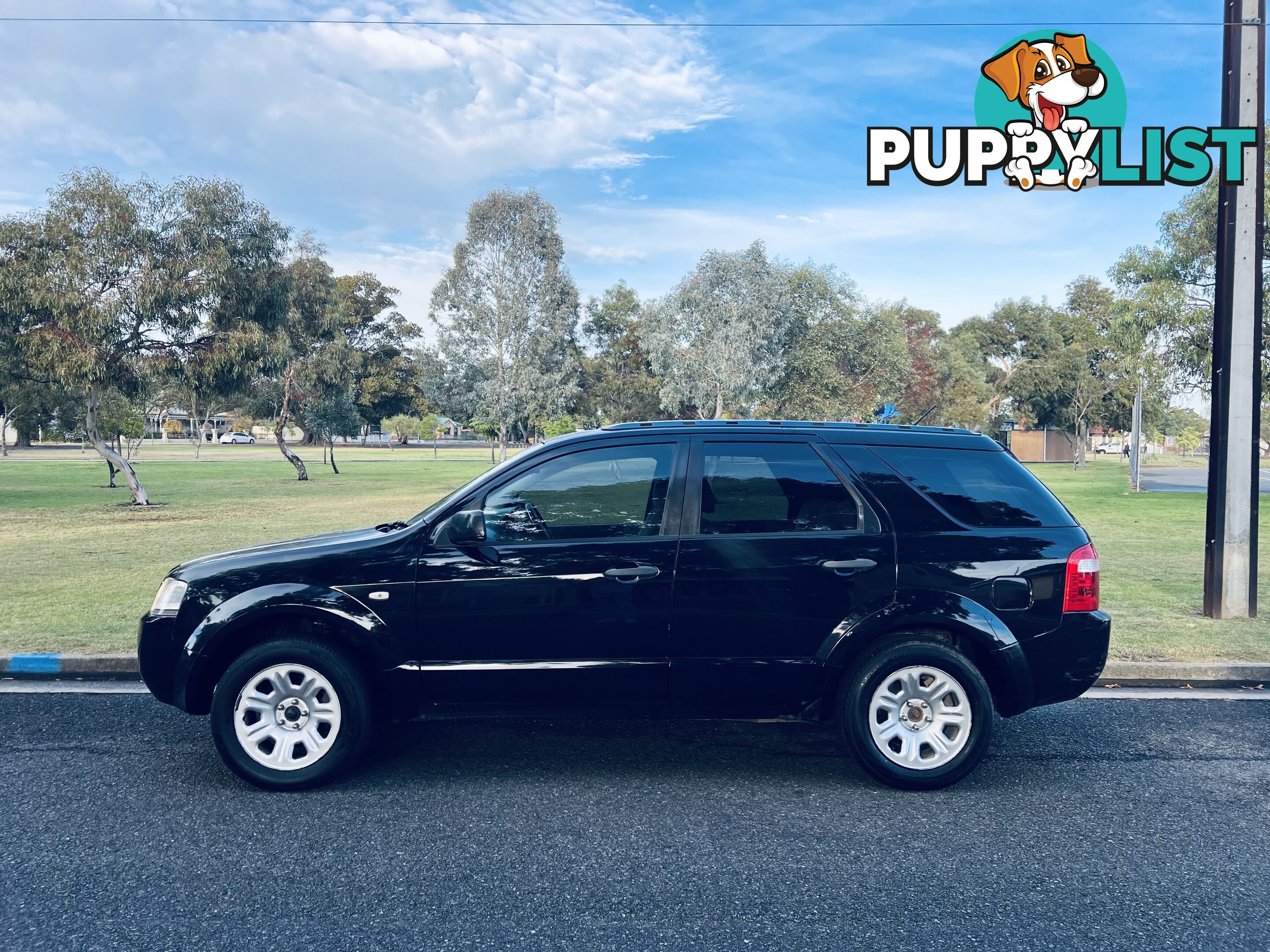 2008 Ford Territory TS (RWD) Wagon 4 Speed Automatic