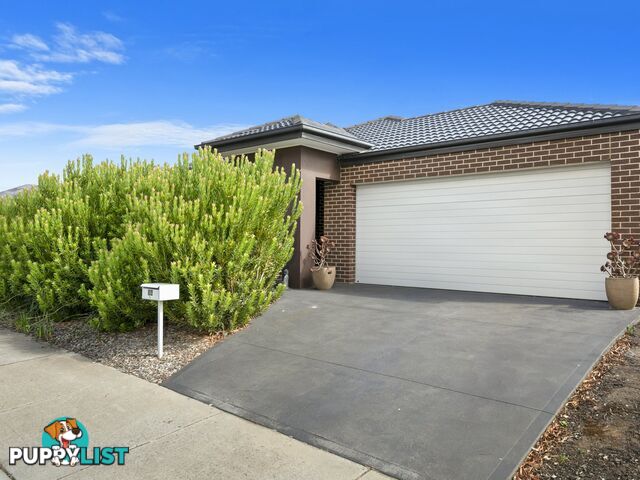 14 Baybrook Ave CURLEWIS VIC 3222