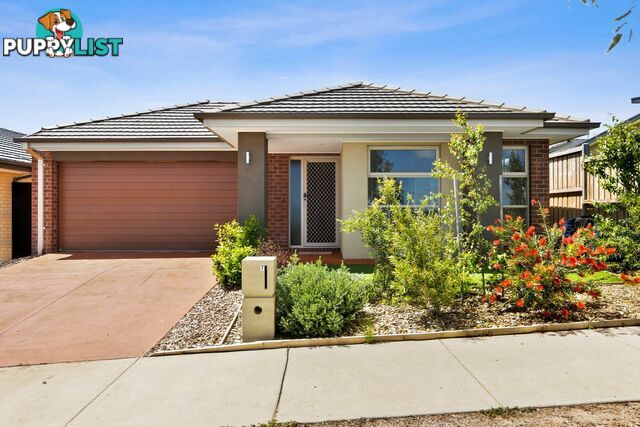 67 Tivoli Drive CURLEWIS VIC 3222