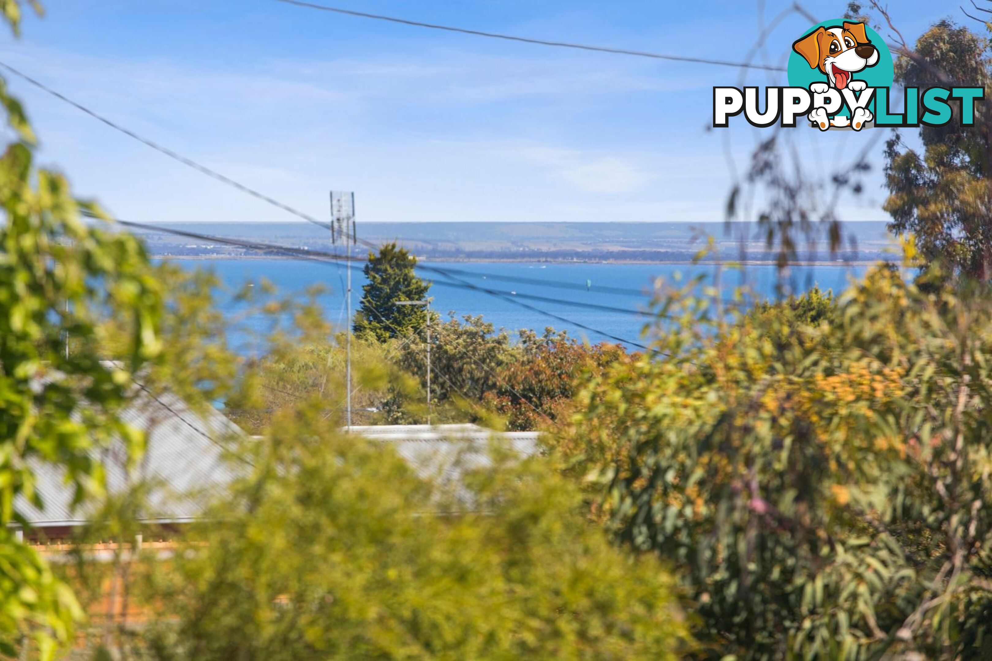 18-20 Bungalalli Avenue CLIFTON SPRINGS VIC 3222