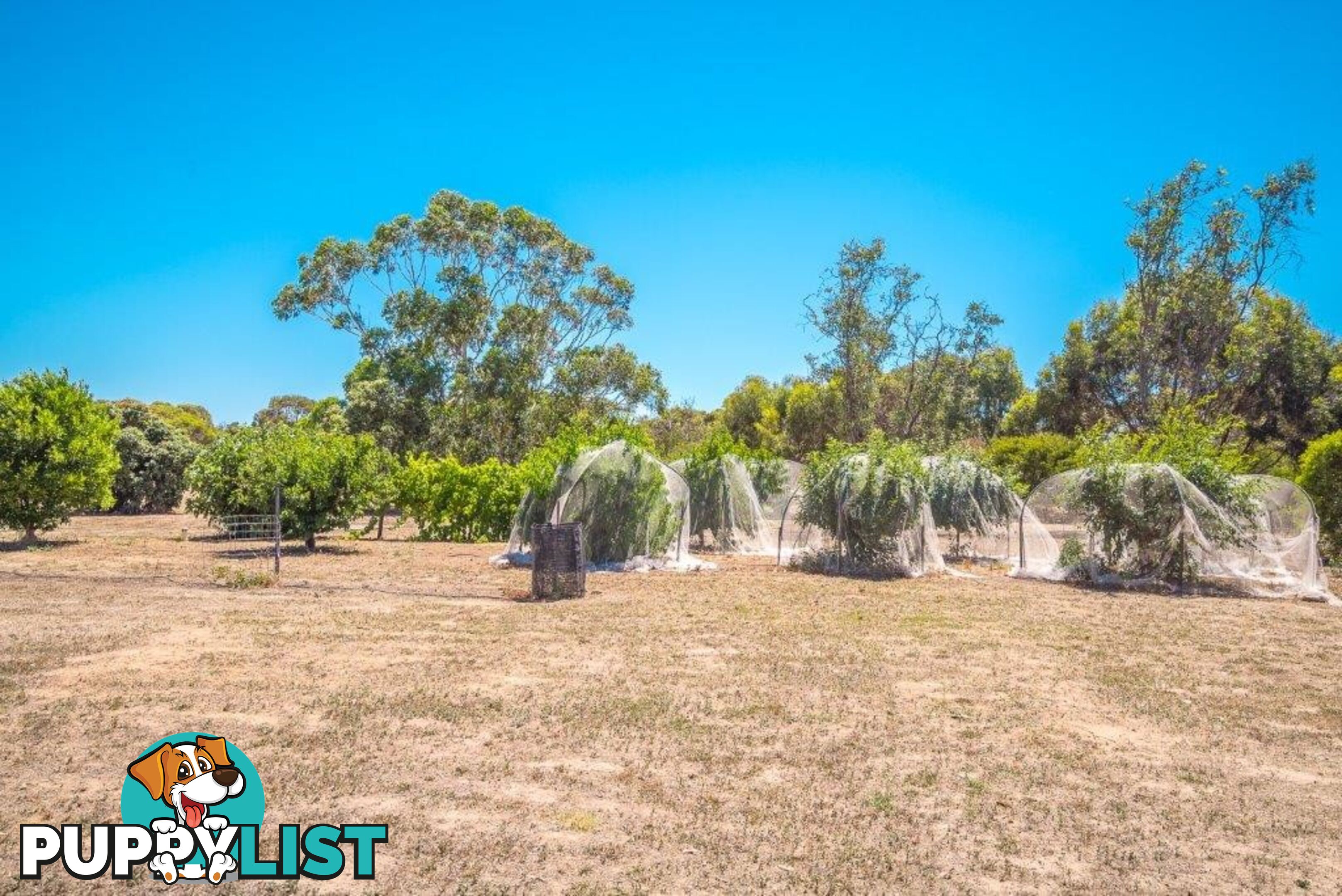 207 Gilbert Siding Road FINNISS SA 5255