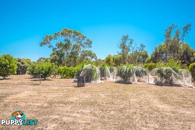 207 Gilbert Siding Road FINNISS SA 5255