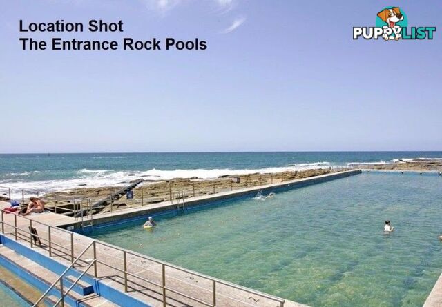 6/4 Marine Parade THE ENTRANCE NSW 2261