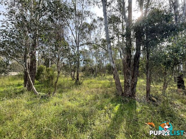 Lot 888 Ninth Ave AUSTRAL NSW 2179