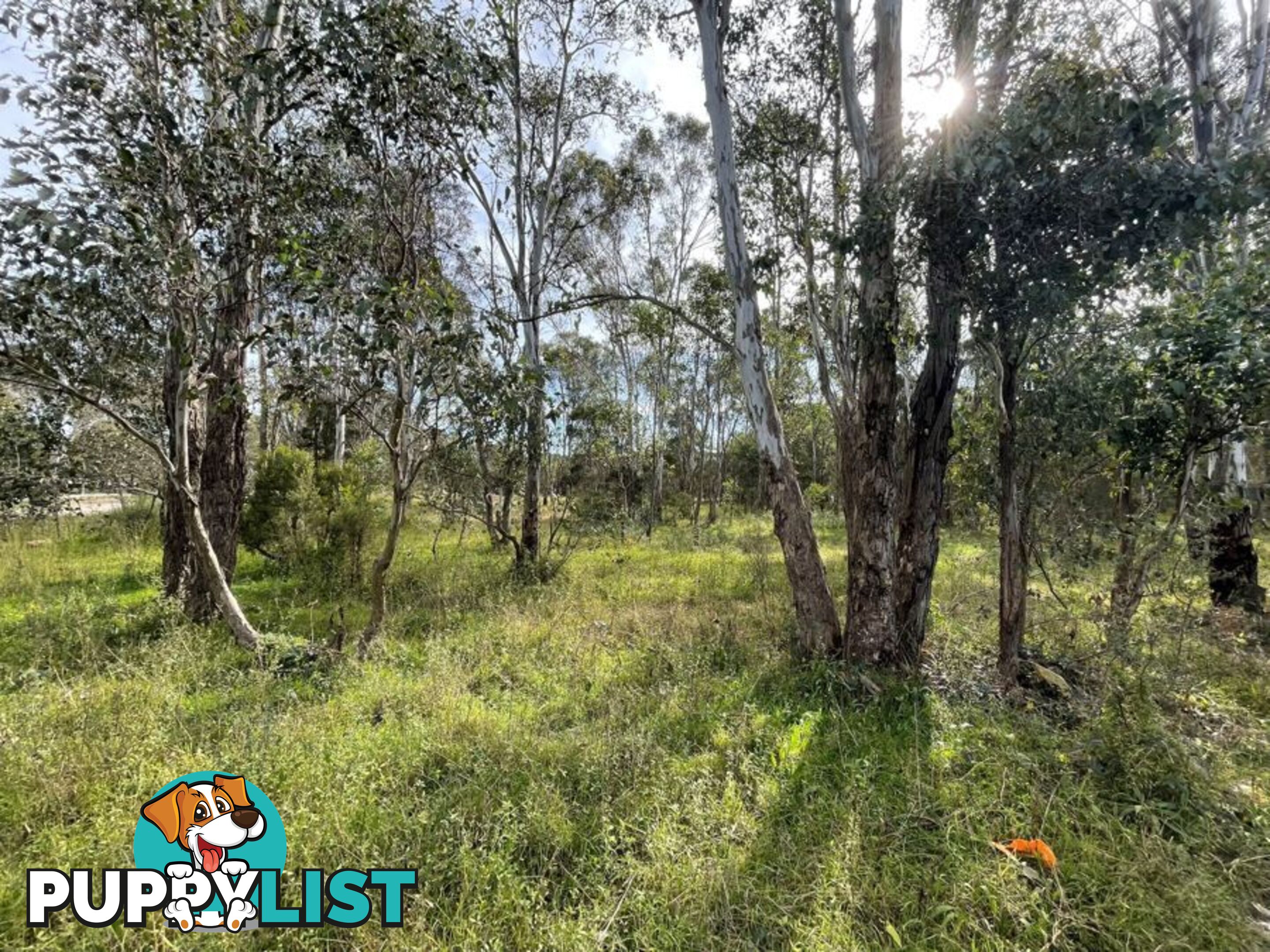 Lot 888 Ninth Ave AUSTRAL NSW 2179