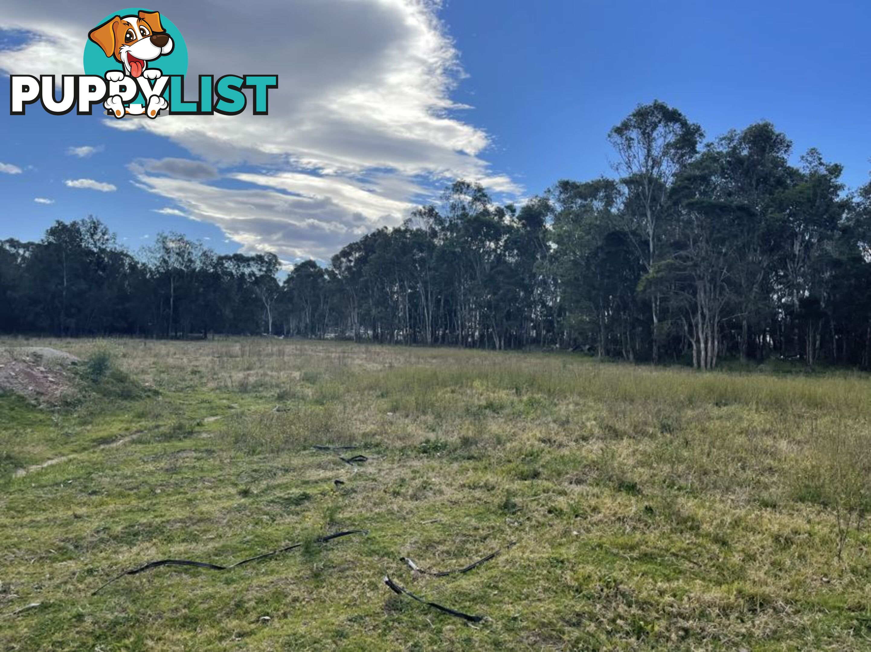 Lot 888 Ninth Ave AUSTRAL NSW 2179