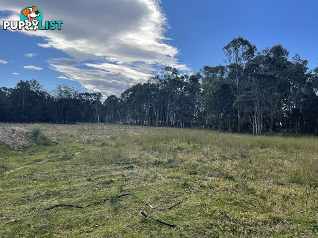 Lot 888 Ninth Ave AUSTRAL NSW 2179