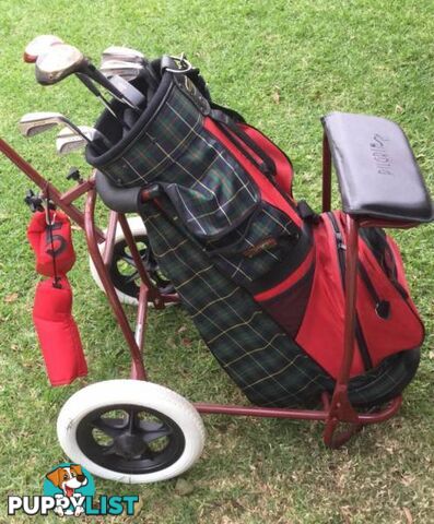 Golf clubs X 7 & buggy Right handed Ram XS-3000 Golf Clubs as p