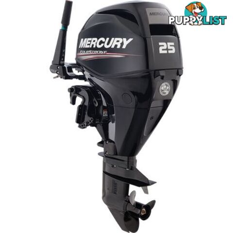 MERCURY 25 EFI