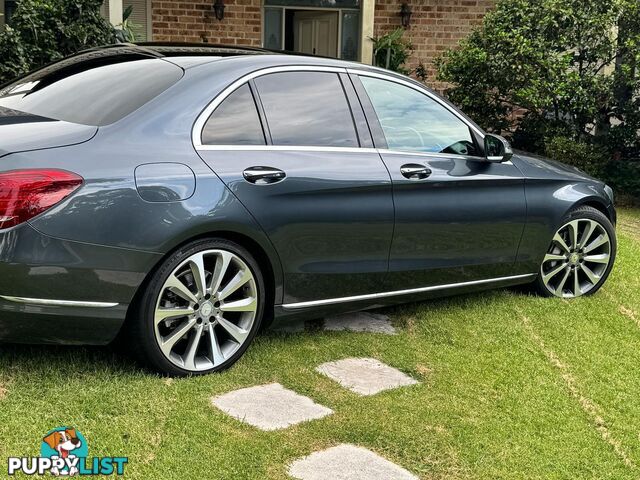 2014 Mercedes-Benz C-Class C250 BLUEEFFICIENCY C250 Sedan Automatic