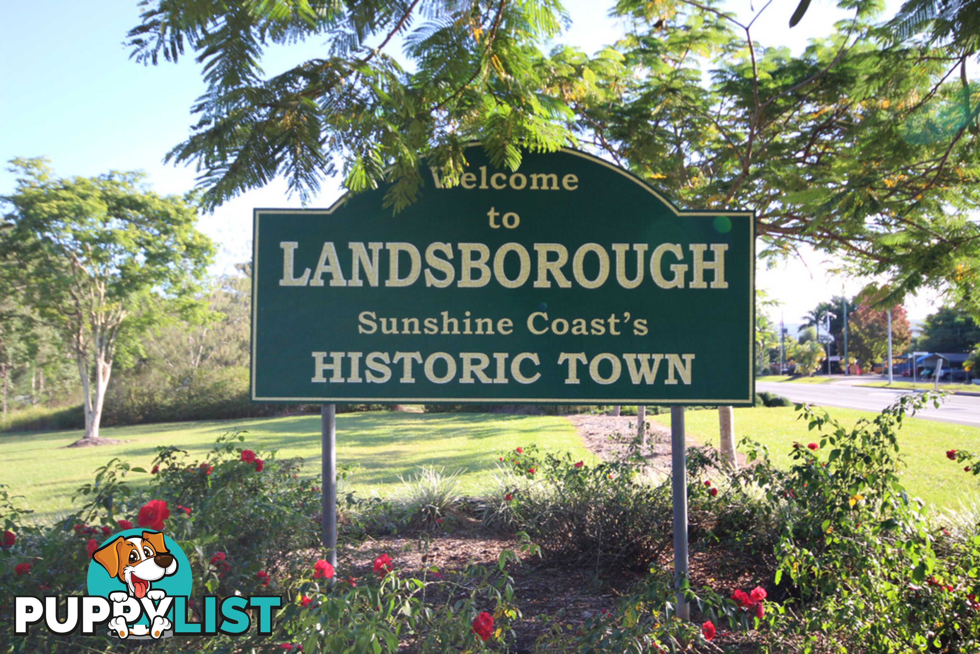 29 Mill Street LANDSBOROUGH QLD 4550