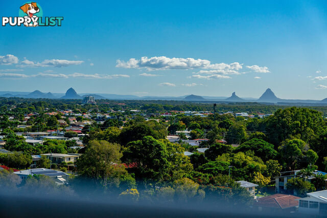 Unit 84 'Gemini' 49 Landsborough Parade GOLDEN BEACH QLD 4551