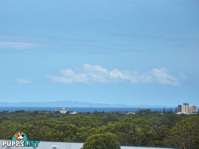 'Sea Breeze Estate' Sea Breeze Place LITTLE MOUNTAIN QLD 4551