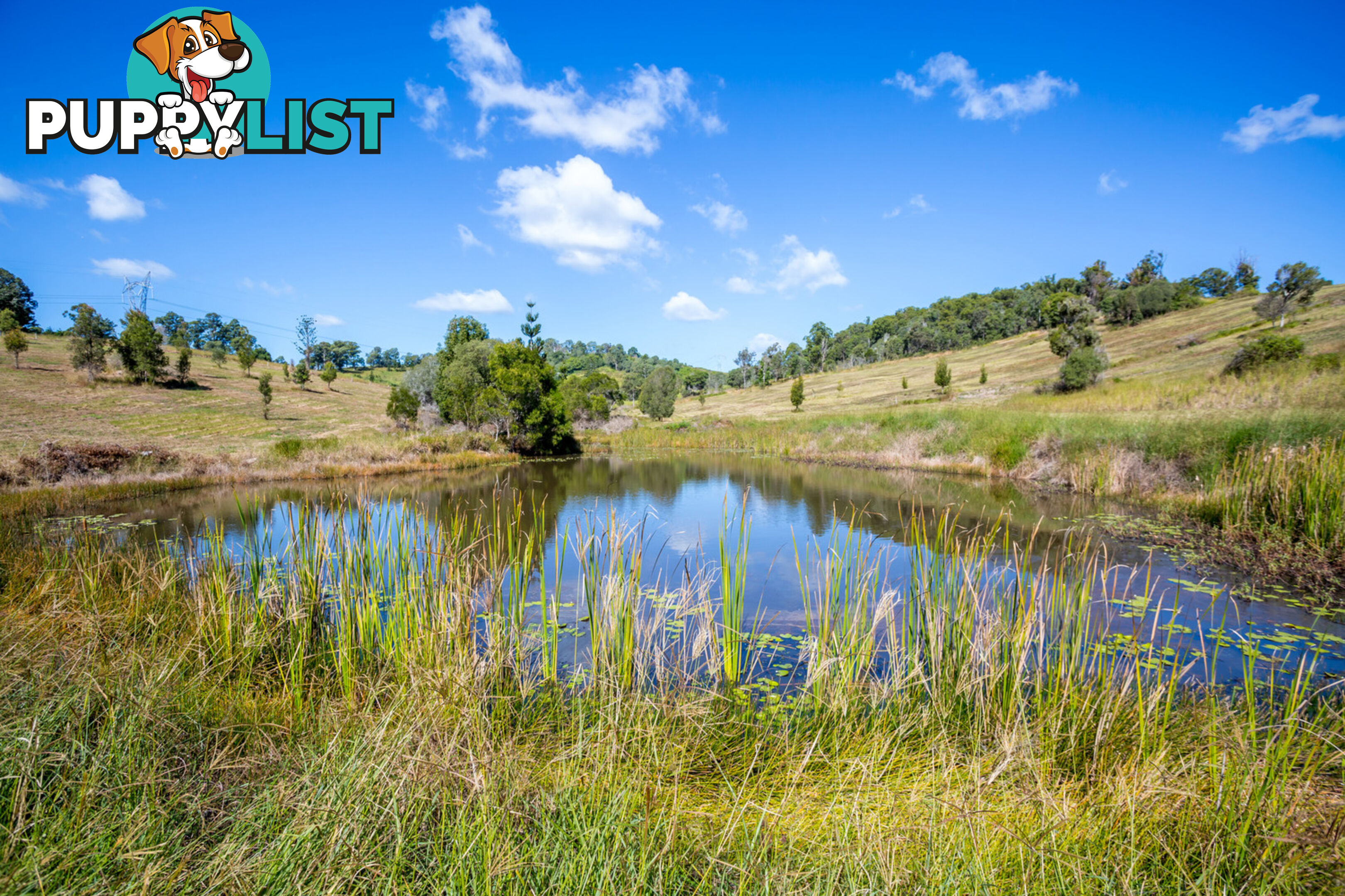 Lot 39 Tandur Road Kybong QLD 4570