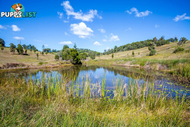 Lot 39 Tandur Road Kybong QLD 4570