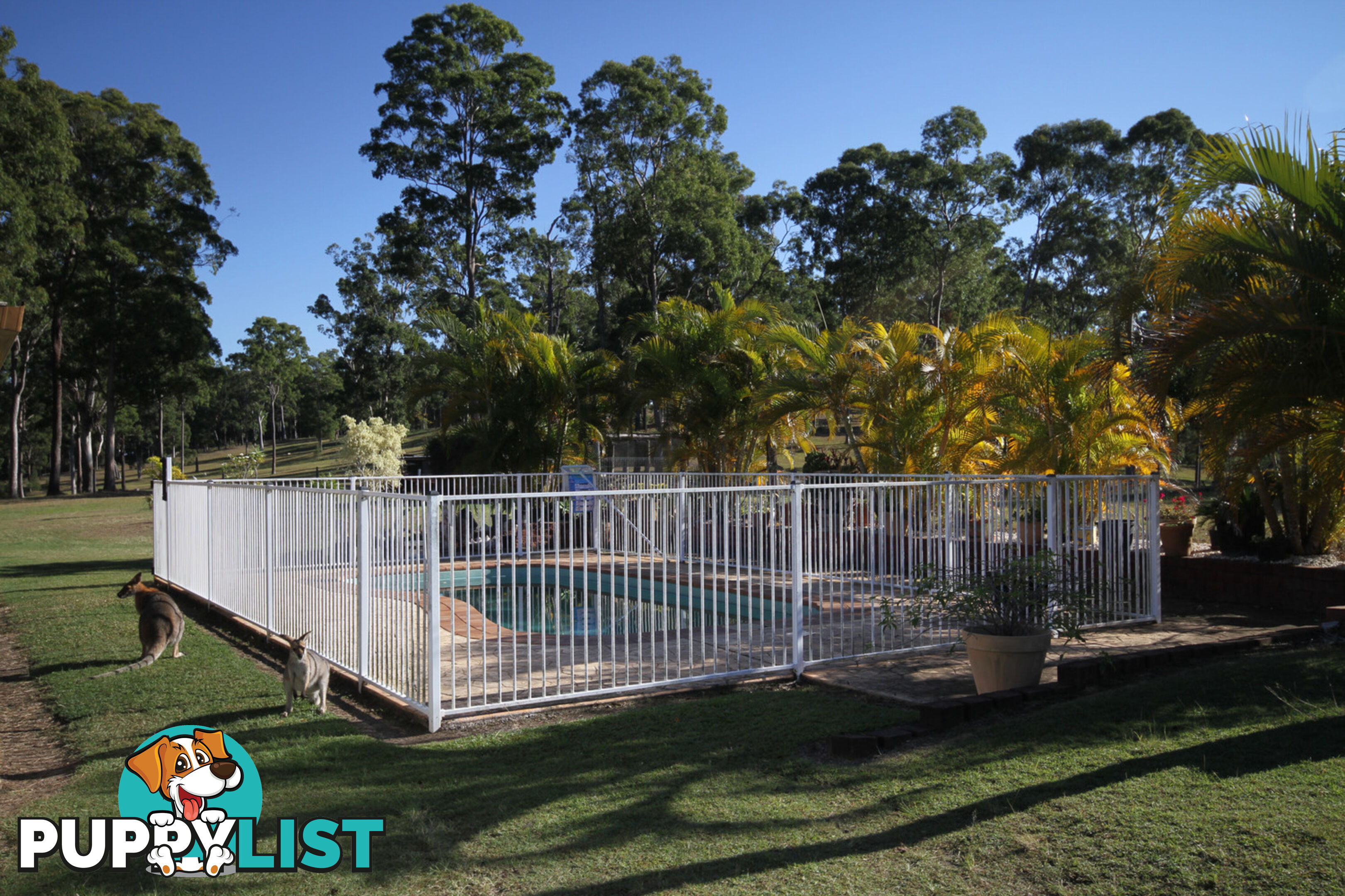 472 Arborten Road Glenwood QLD 4570