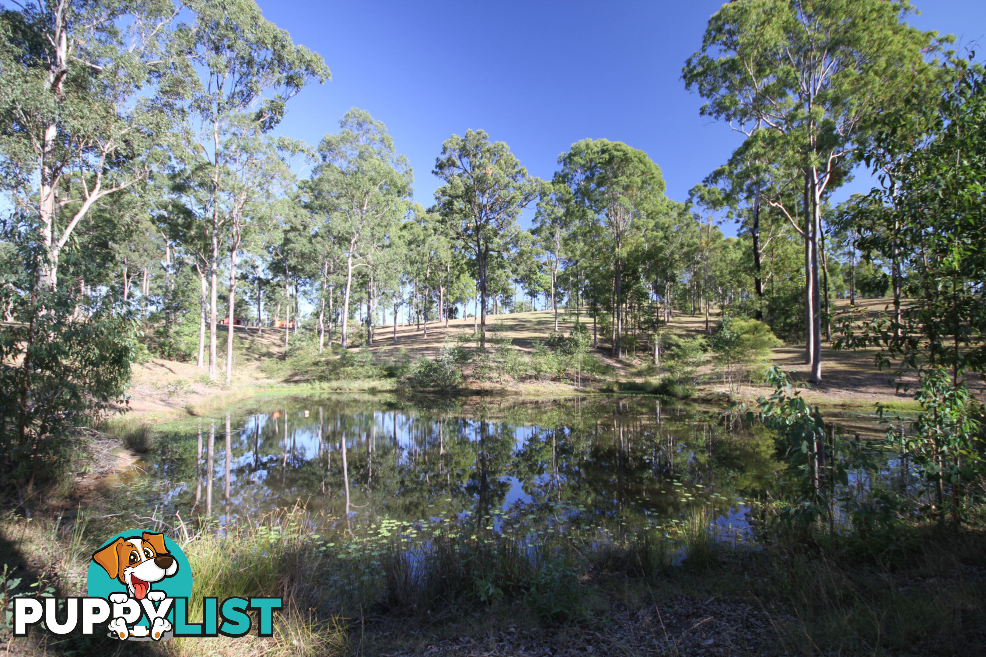 472 Arborten Road Glenwood QLD 4570