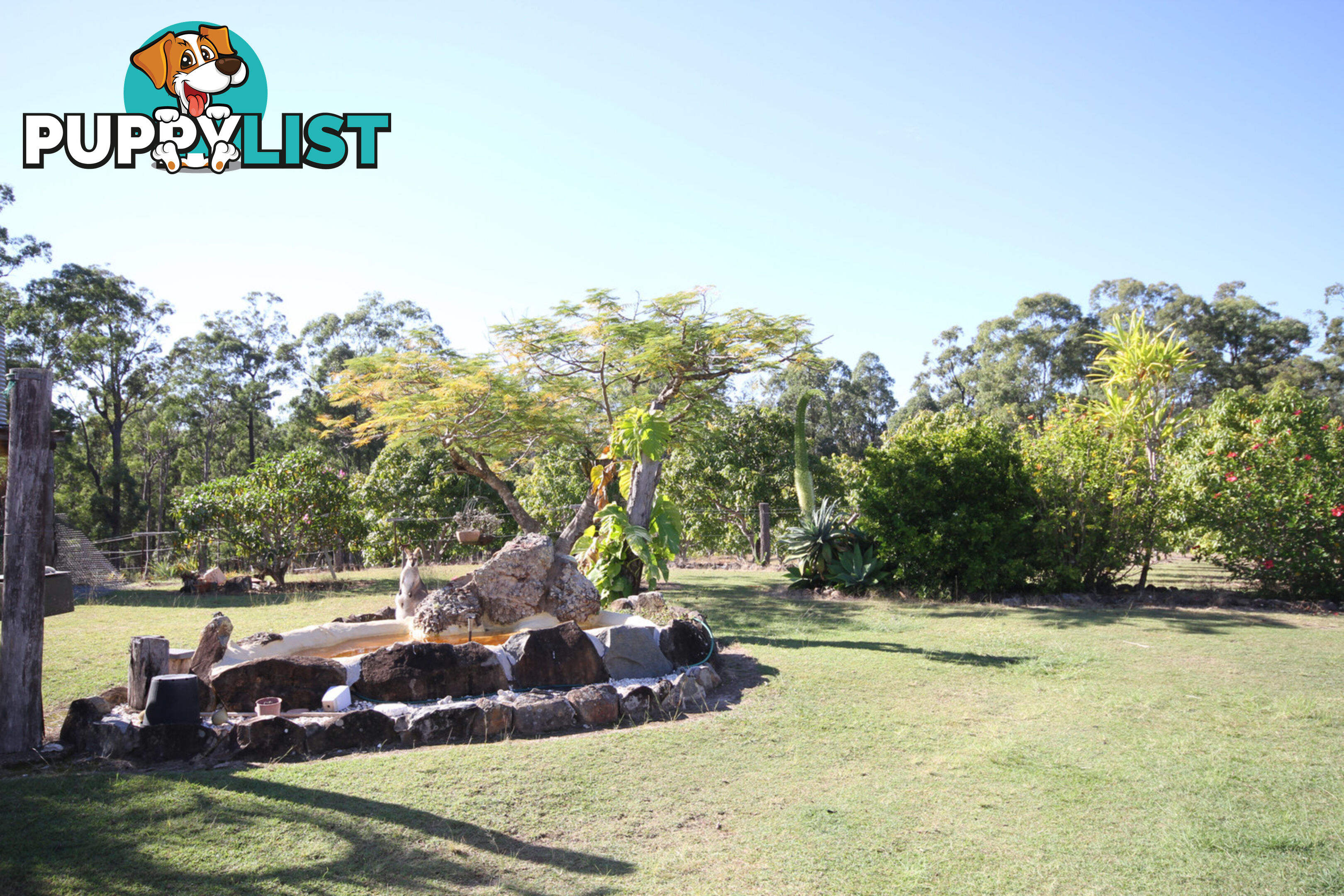 472 Arborten Road Glenwood QLD 4570