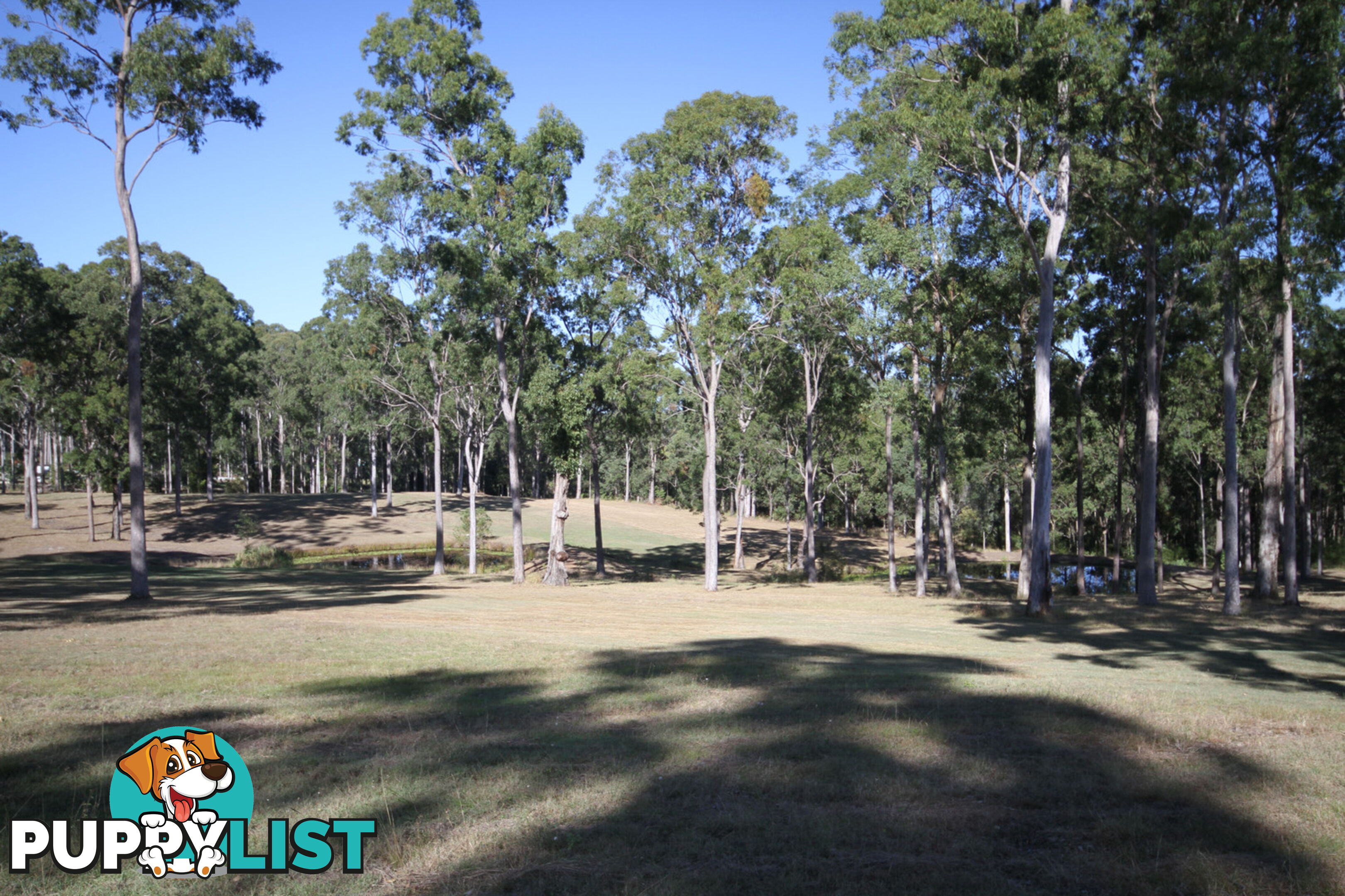 472 Arborten Road Glenwood QLD 4570