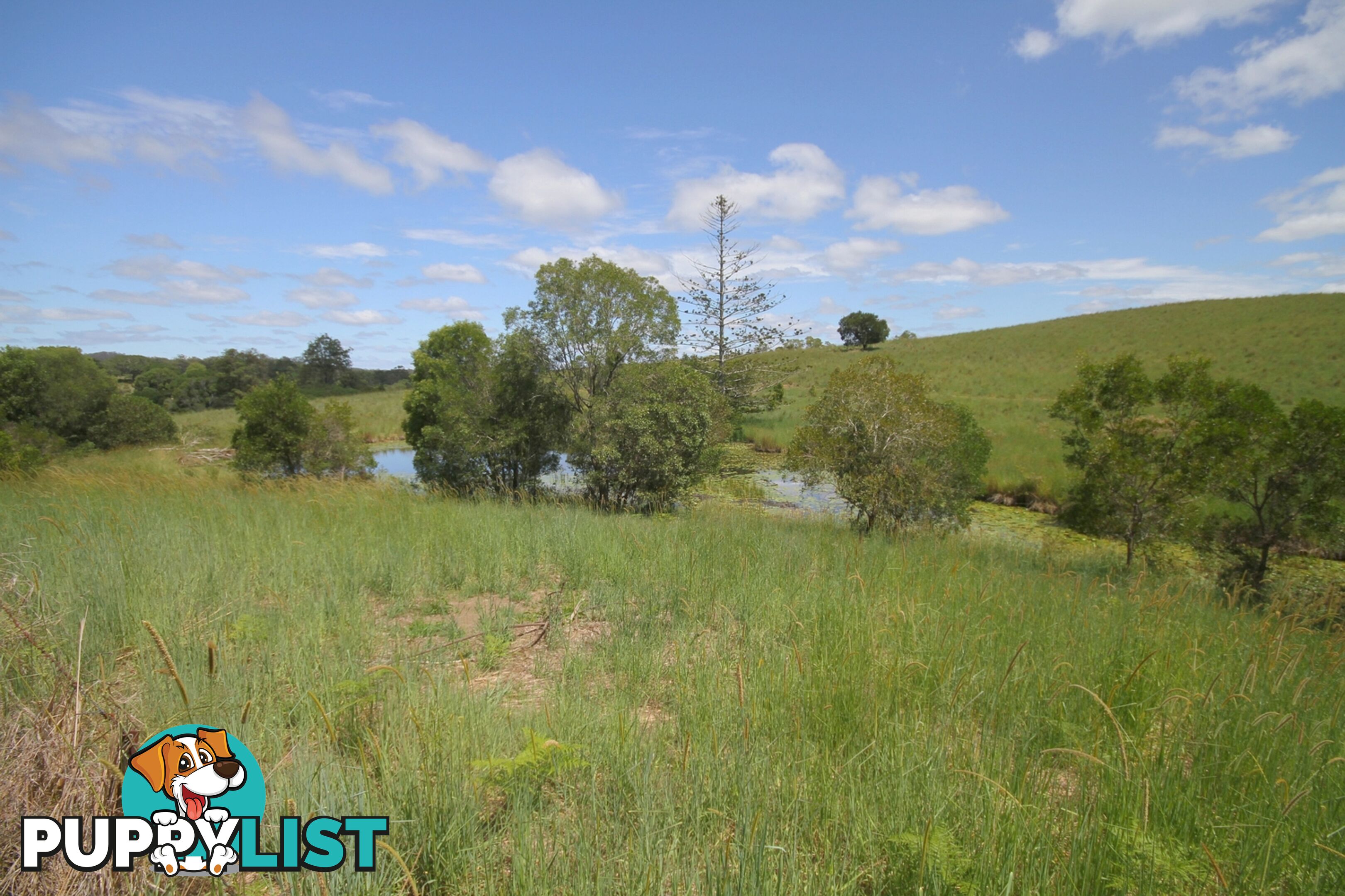 1830 Sandy Creek Road Downsfield QLD 4570