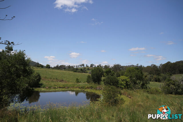 1830 Sandy Creek Road Downsfield QLD 4570