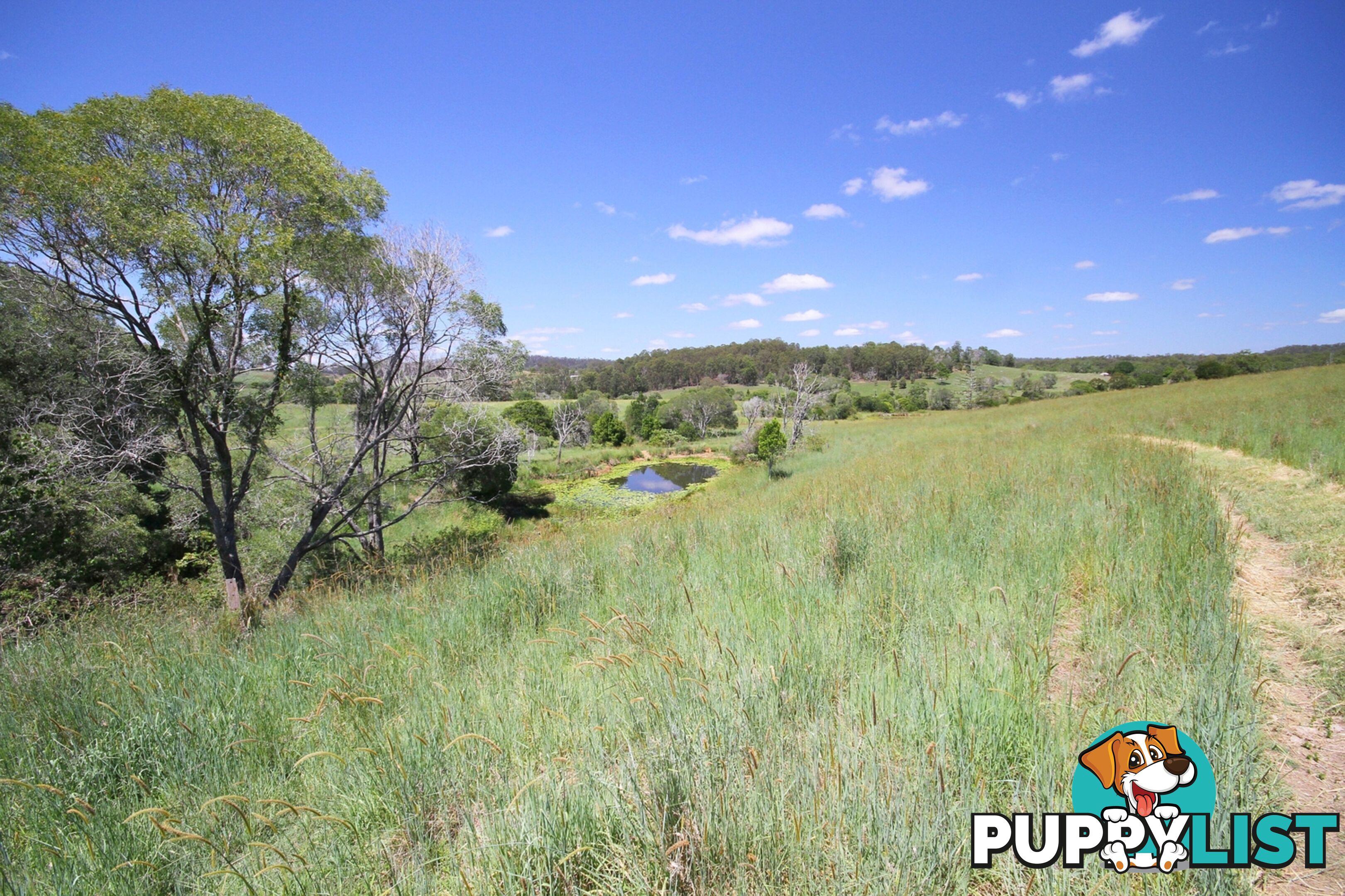 1830 Sandy Creek Road Downsfield QLD 4570