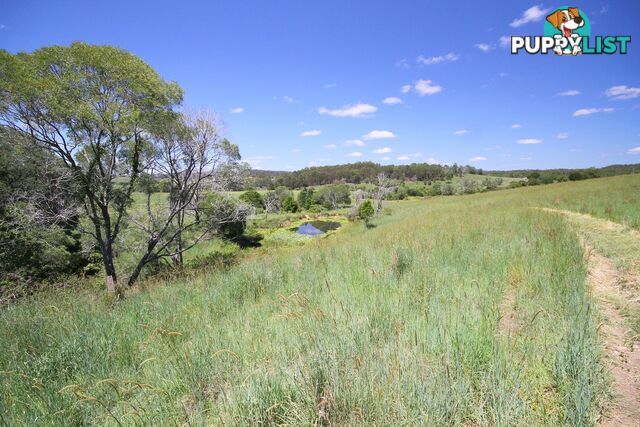 1830 Sandy Creek Road Downsfield QLD 4570