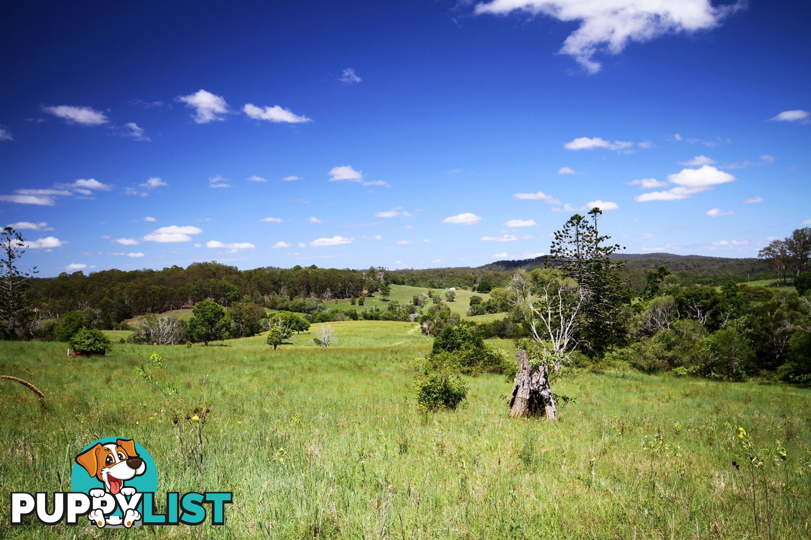 1830 Sandy Creek Road Downsfield QLD 4570