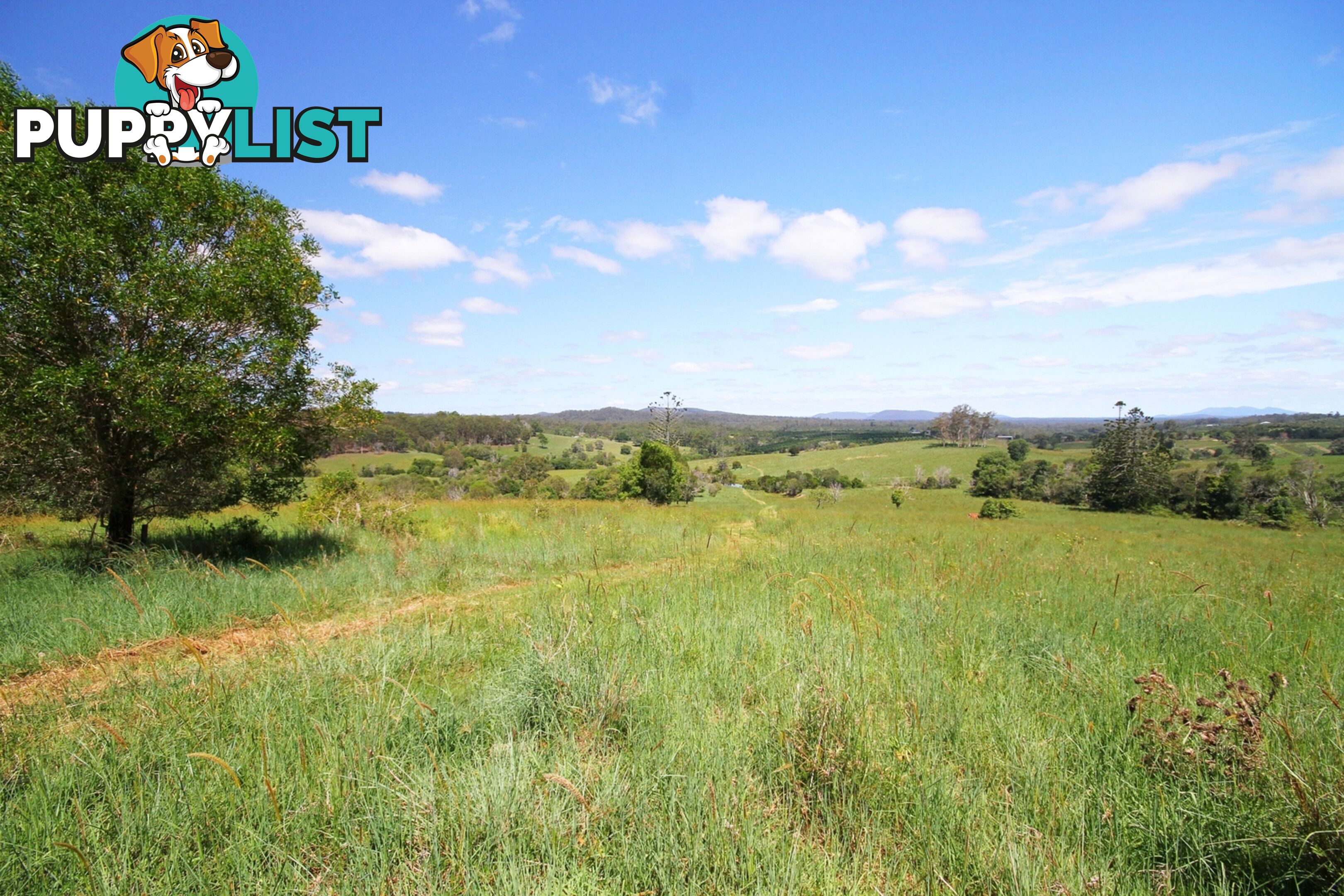 1830 Sandy Creek Road Downsfield QLD 4570