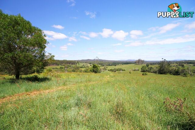 1830 Sandy Creek Road Downsfield QLD 4570