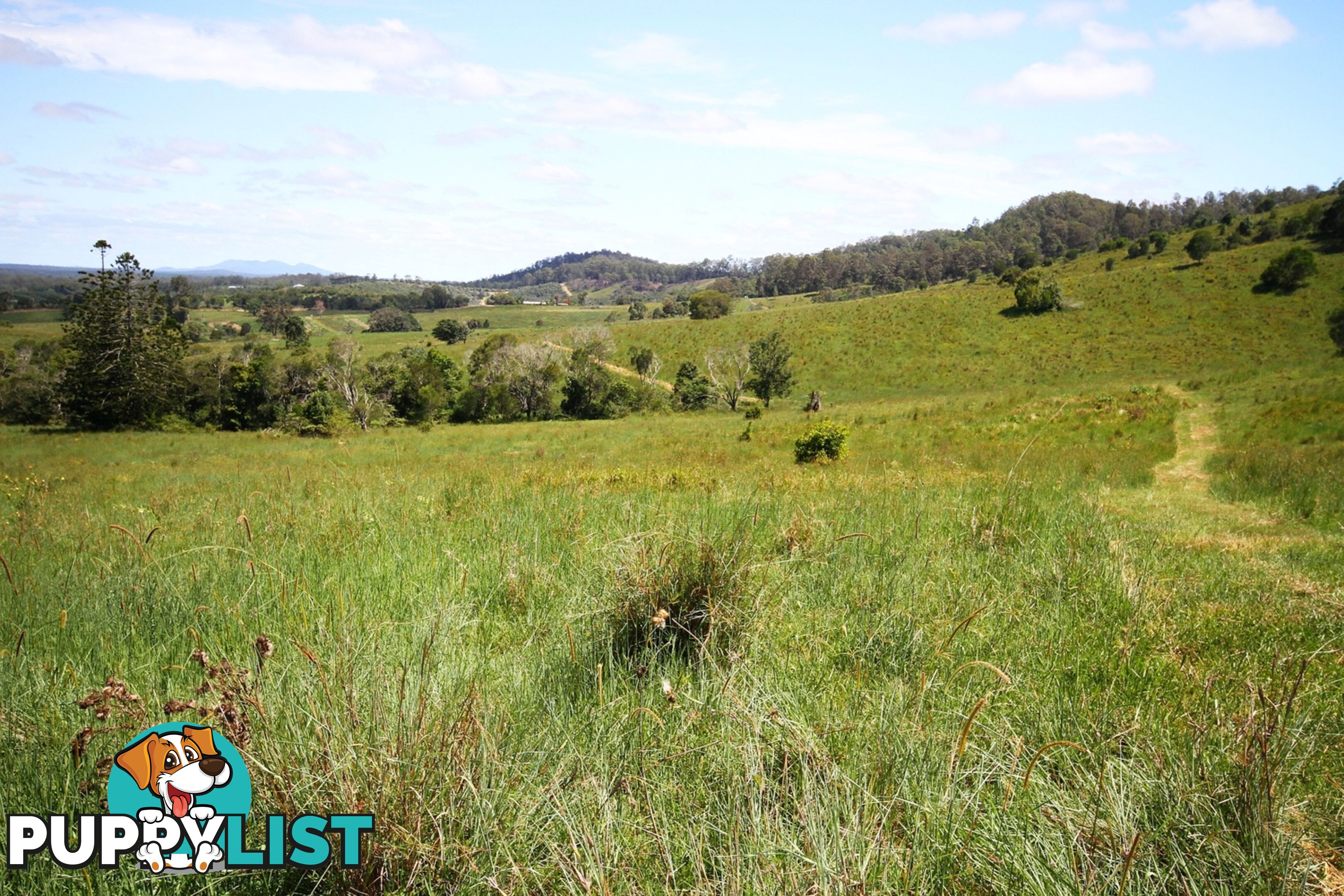 1830 Sandy Creek Road Downsfield QLD 4570