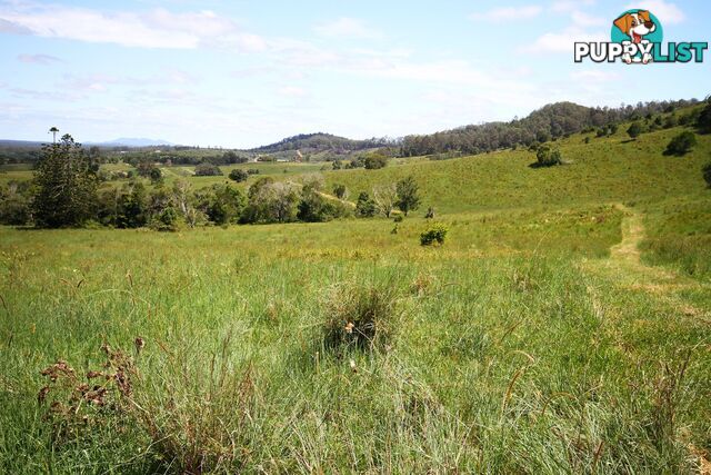 1830 Sandy Creek Road Downsfield QLD 4570