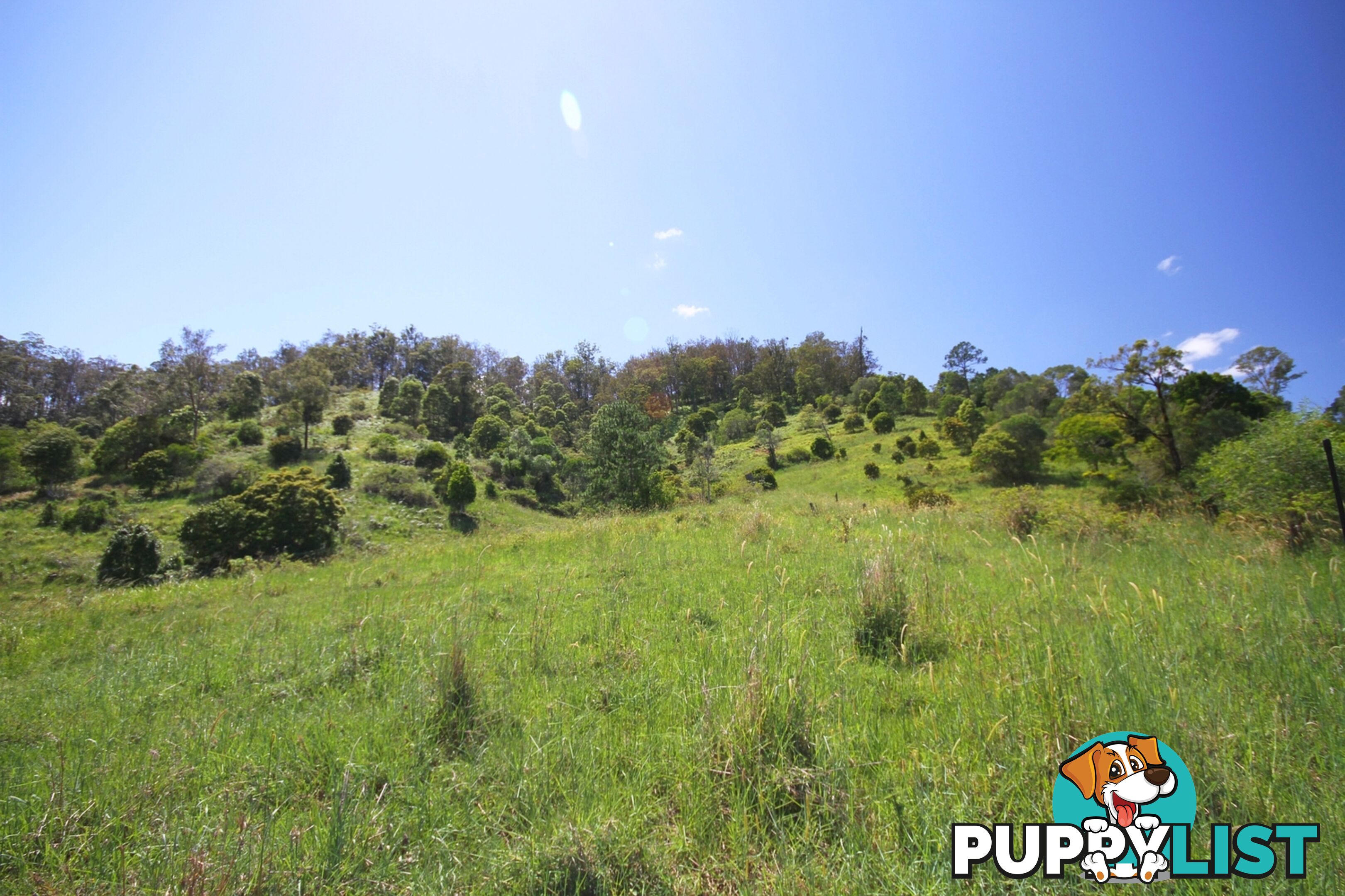 1830 Sandy Creek Road Downsfield QLD 4570