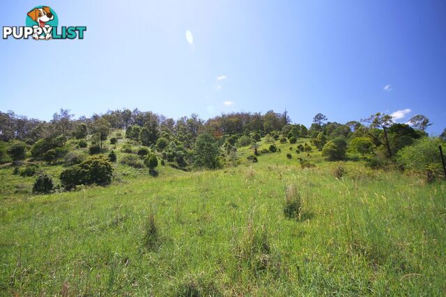 1830 Sandy Creek Road Downsfield QLD 4570