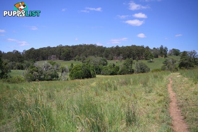 1830 Sandy Creek Road Downsfield QLD 4570