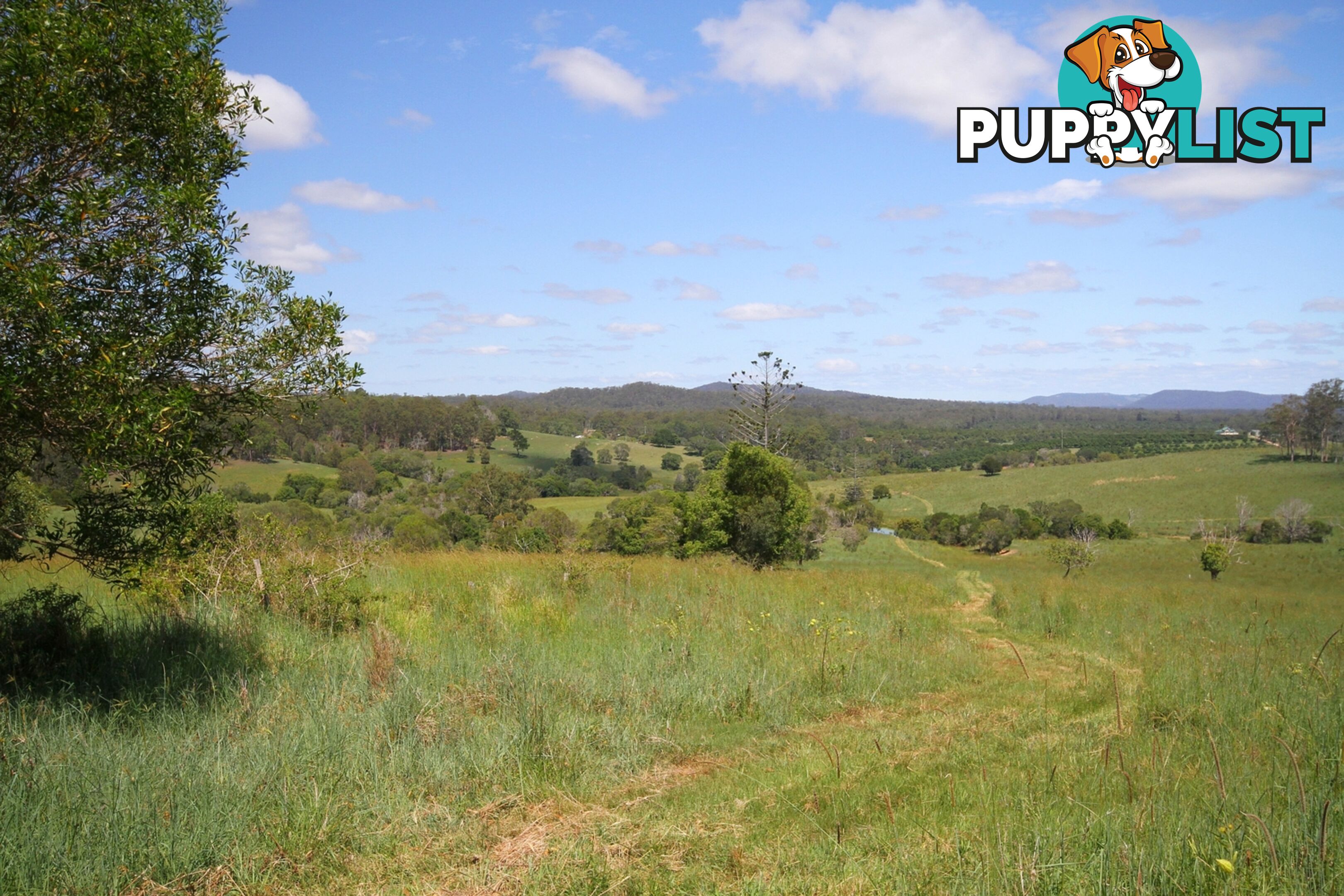 1830 Sandy Creek Road Downsfield QLD 4570