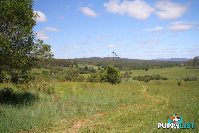 1830 Sandy Creek Road Downsfield QLD 4570