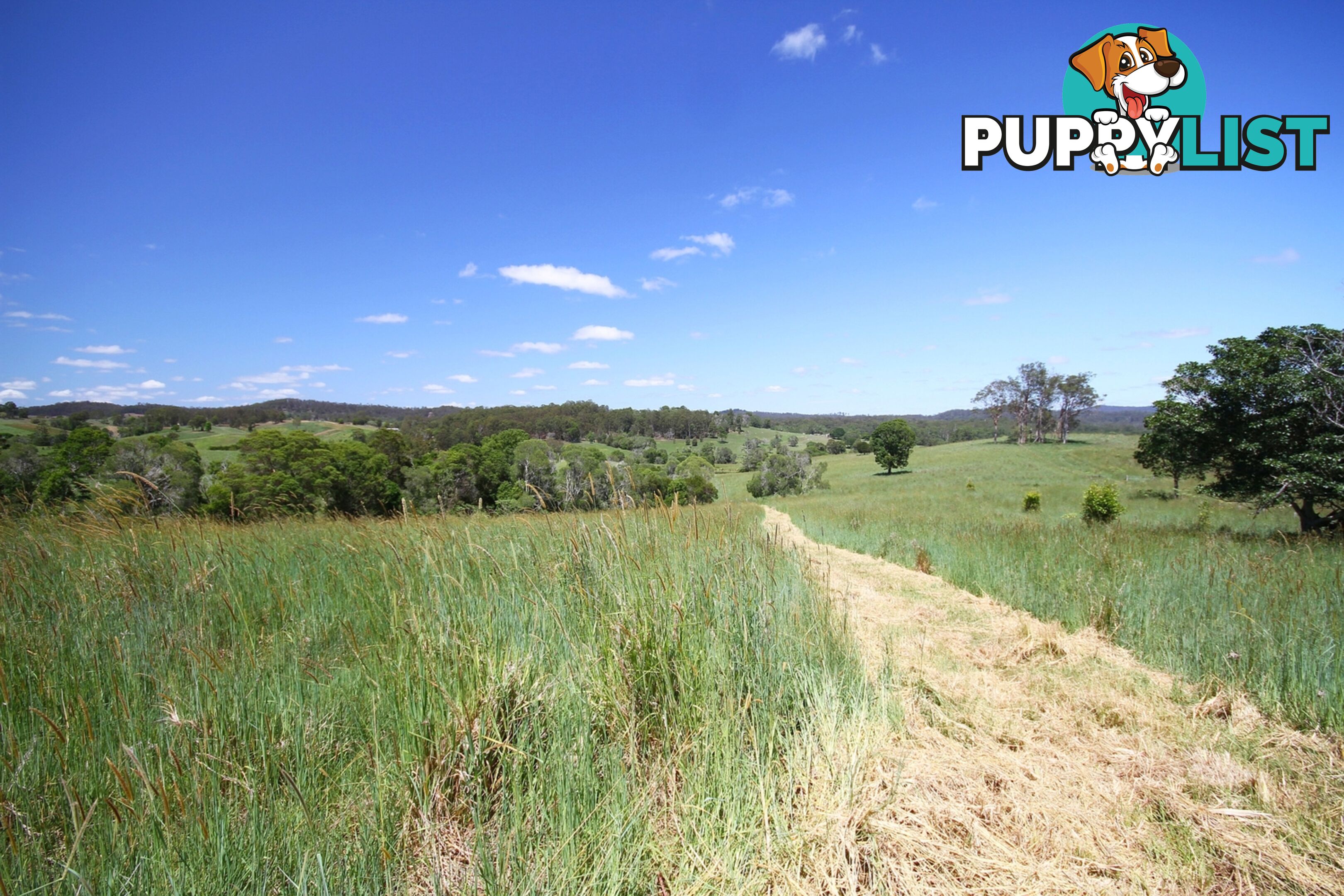 1830 Sandy Creek Road Downsfield QLD 4570