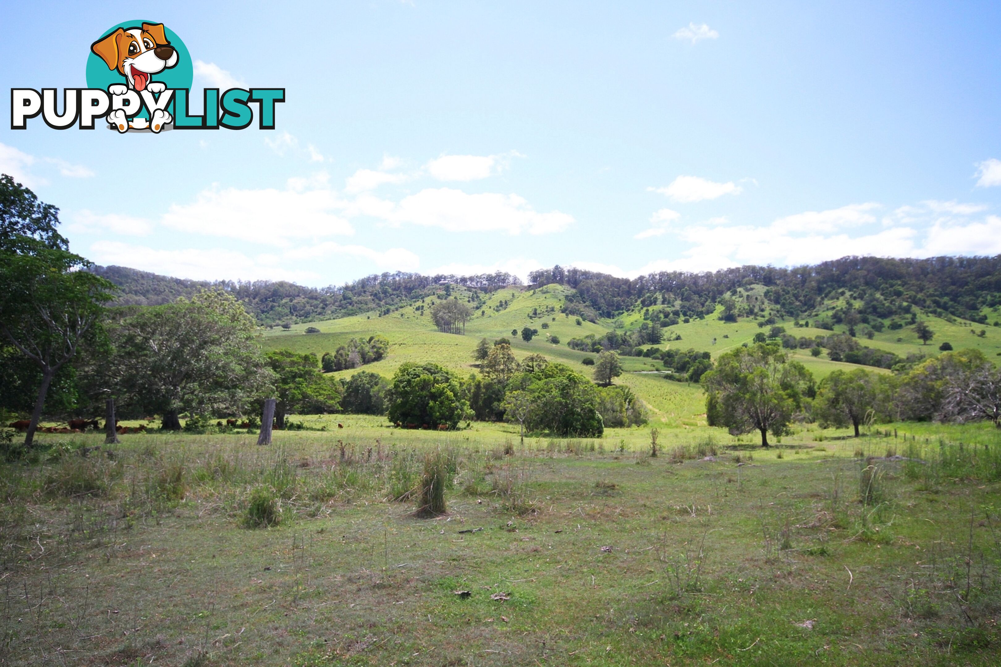 1830 Sandy Creek Road Downsfield QLD 4570