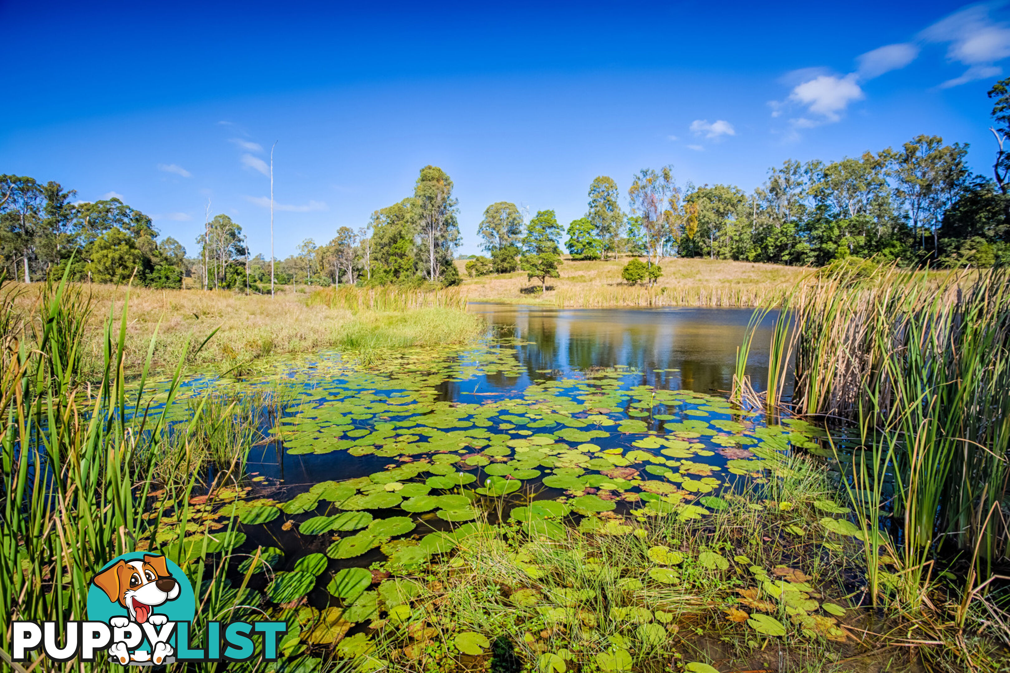 22 Kernke Road Mcintosh Creek QLD 4570