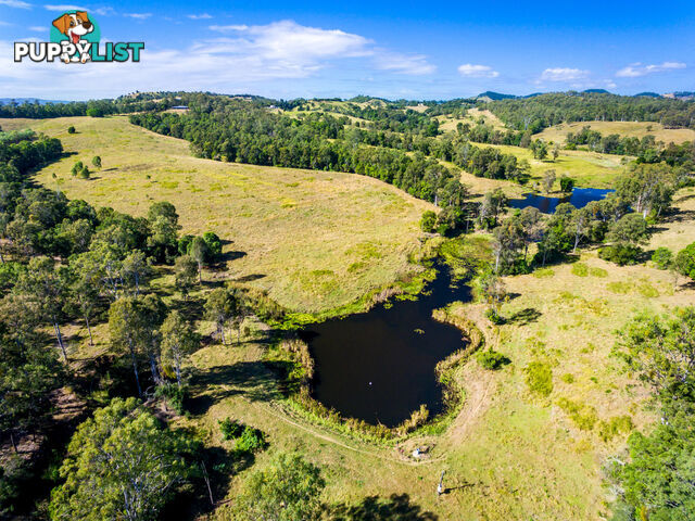 22 Kernke Road Mcintosh Creek QLD 4570