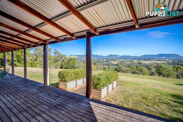 22 Kernke Road Mcintosh Creek QLD 4570