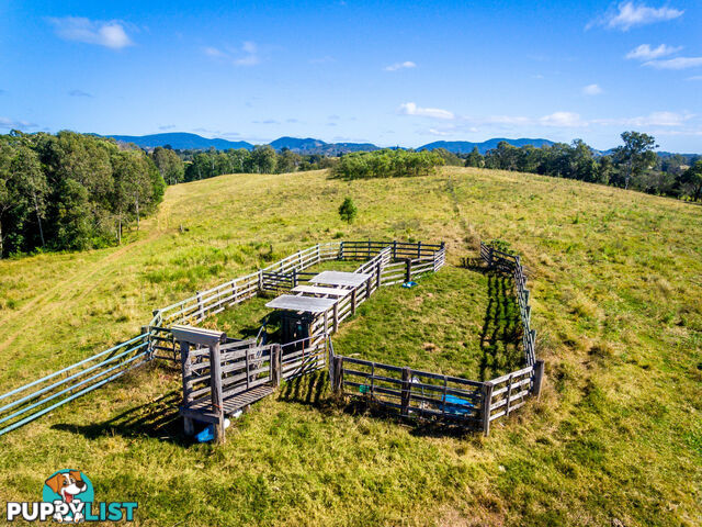 22 Kernke Road Mcintosh Creek QLD 4570