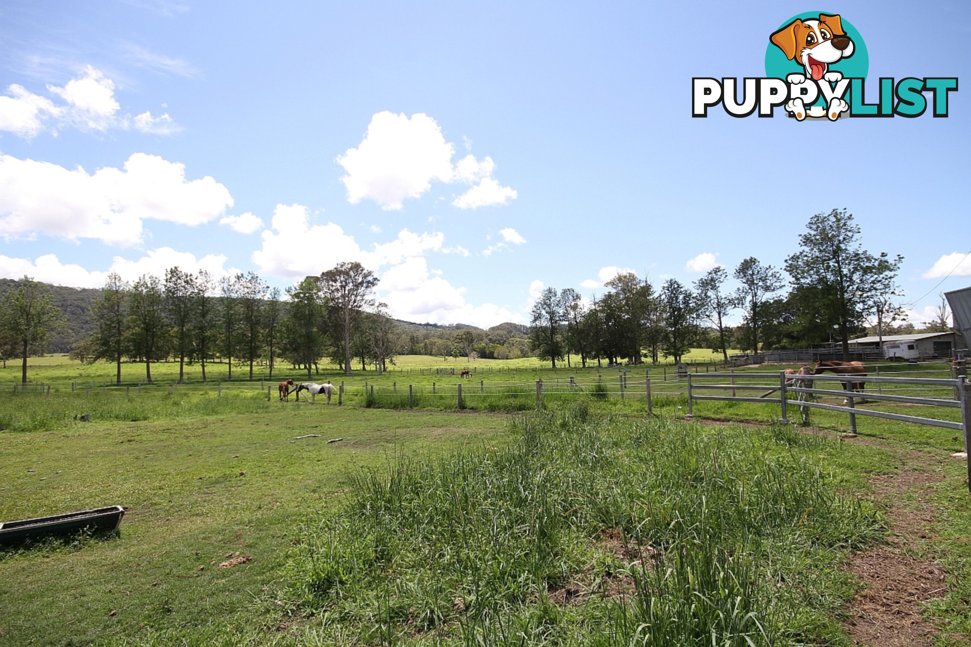 769 Neusa Vale Road Neusa Vale QLD 4570